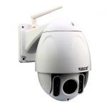 IP cameras