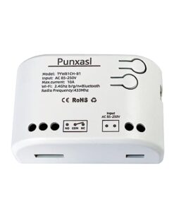 Punxasl 1CH Smart Relay