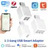 Tuya ZigBee USB Smart Plug