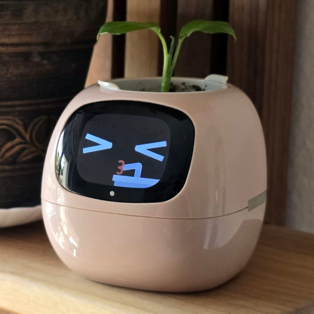 Ivy Smart Planter Drinking Water