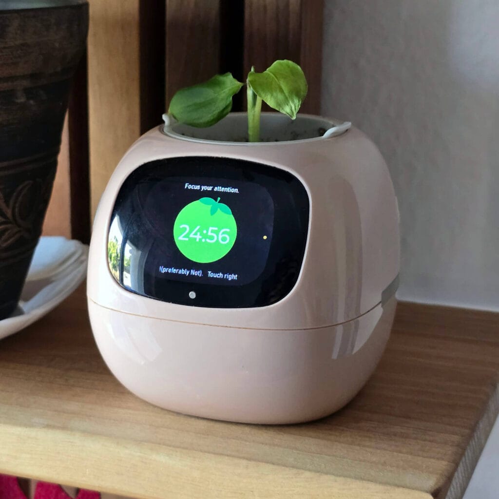 Ivy Smart Planter Pomodoro Timer