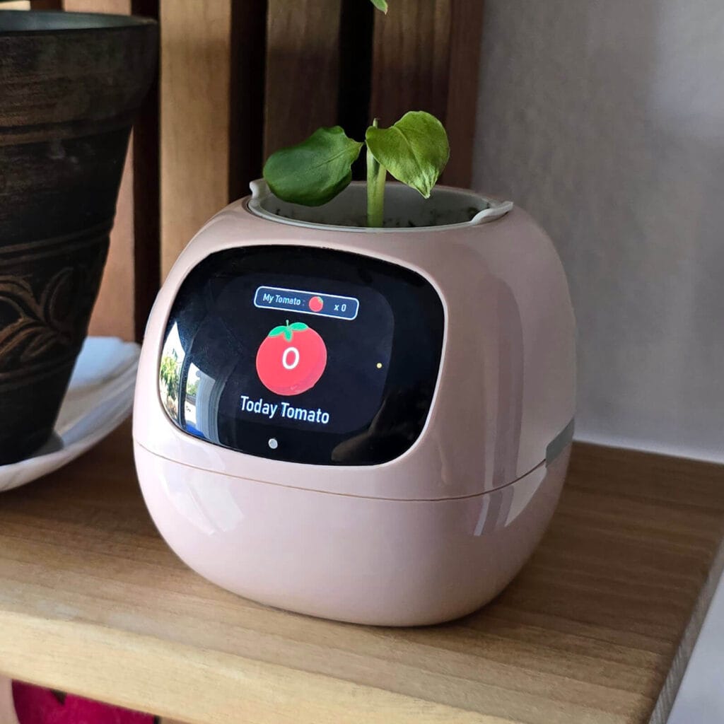 Ivy Smart Planter Total Pomodoros