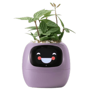 Ivy Smart Planter Where to Buy