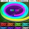 Tira LED Neon RGBIC Tuya