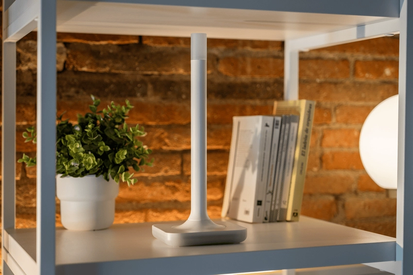 Home Assistant Connect ZWA-2 ubicado en una estantería junto a una planta y algunos libros