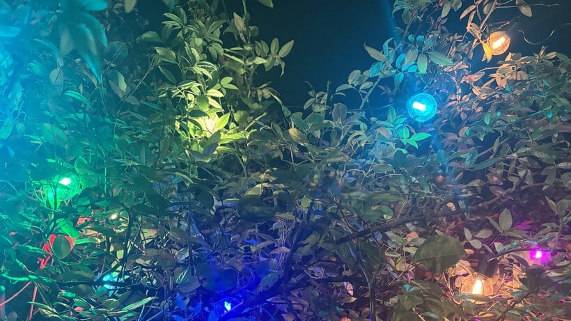 Análisis Luces Philips Hue