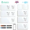 BSEED Scale 3Gang Carga 20W