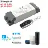 eWelink WiFi Interruptor 2CH
