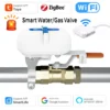Válvula inteligente Zigbee Tuya