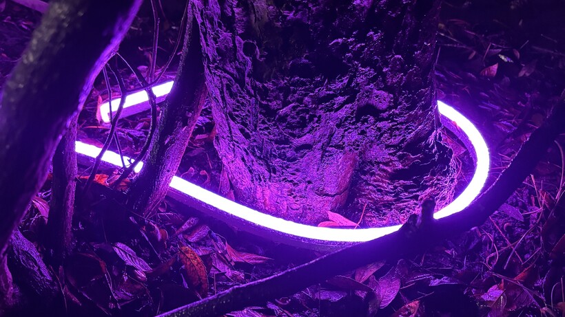 Análisis Tira LED Exterior Philips 13 Iluminación morada de la tira LED exterior Philips Hue Neon