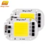 QIROGKC Chip LED COB 20W