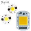 Chip LED COB 10W 220V Chip LED COB 10W 220V